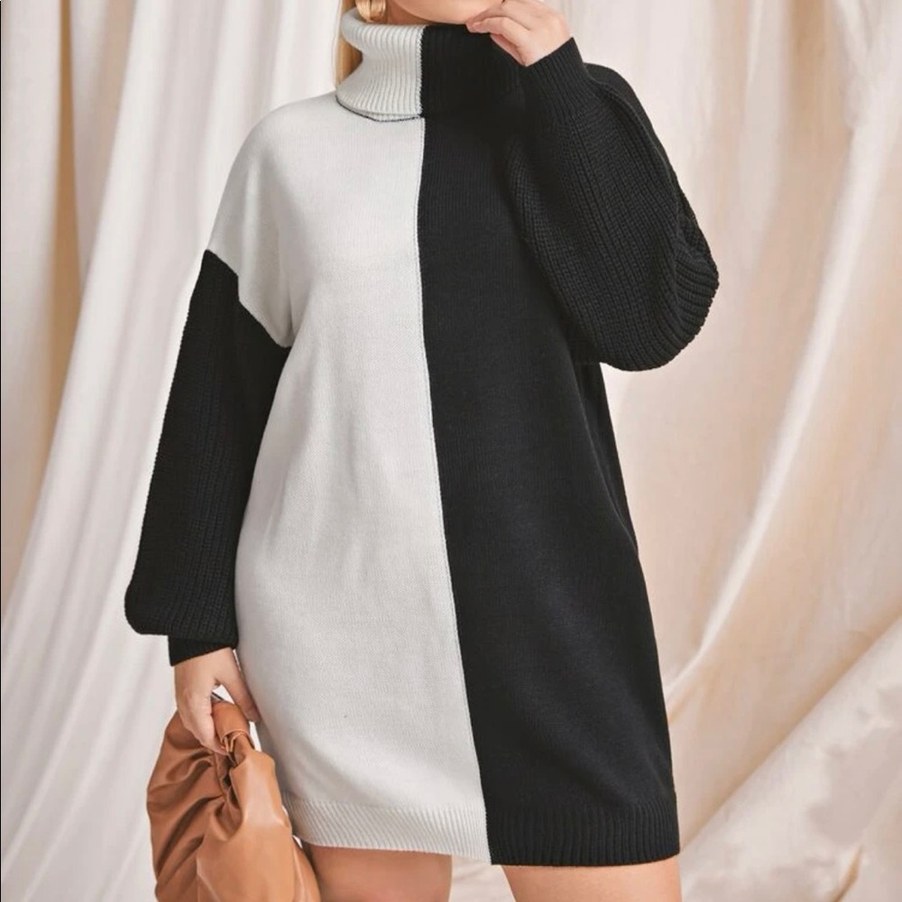 Brand New Two Tone Turtleneck Sweater Dress